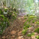 DSCF3486