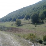 DSCF3505