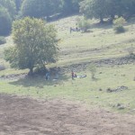 DSCF3507