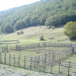 DSCF3508
