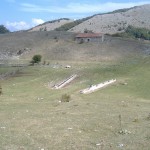 DSCF3514